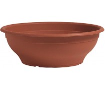 Nicoli dubuo Ciotolone 50 molio spalvos