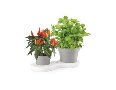 Nicoli dviejų vazonų su vandens rezervuaru komplektas Deco