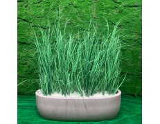 Lovelio Nicoli Iris kompozicija su dirbtinėmis smilgomis, pelenų spalvos