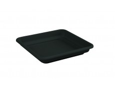 Nicoli 34x34x6cm lėkštelė Quadro Mega 40, antracito spalvos