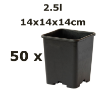 14x14x14CM 2,5L vazonas QUADRO, 50vnt.