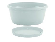 Nicoli dubuo su lėkštele Rumba 25 baltos spalvos