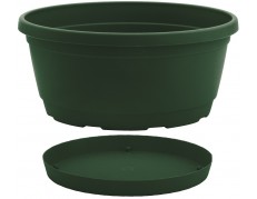 Nicoli dubuo su lėkštele Rumba 18 žalios spalvos