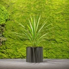 Jungle Flora ø40x35cm metalinis vazonas Riverside Base 400