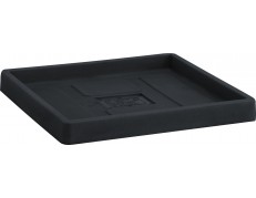 Nicoli lėkštelė Themis Quadro 40 antracito spalvos