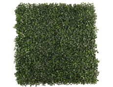 Buksmedžio lapų sienos segmentas, 50x50cm