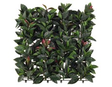 Citrinlapių sienos segmentas, 50x50cm