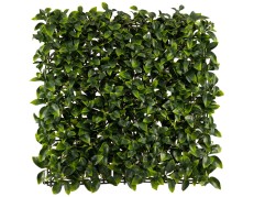 Citruso lapų sienos segmentas, 50x50cm