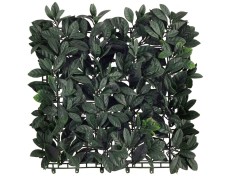 Krūminio ligustro lapų segmentas, 50x50cm