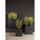 fleur ami 30x30x34cm vazonas Division Lite Cube, concrete anthracite