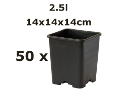 14x14x14CM 2,5L vazonas QUADRO, 50vnt.